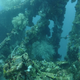 A “Rice Bowl Wreck” prior to illegal salvaging. (Image: Jason Fowler/Flickr)